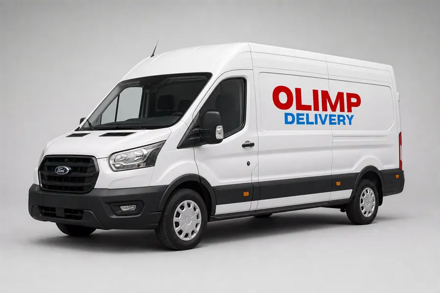 LWBX +4m Panel Van