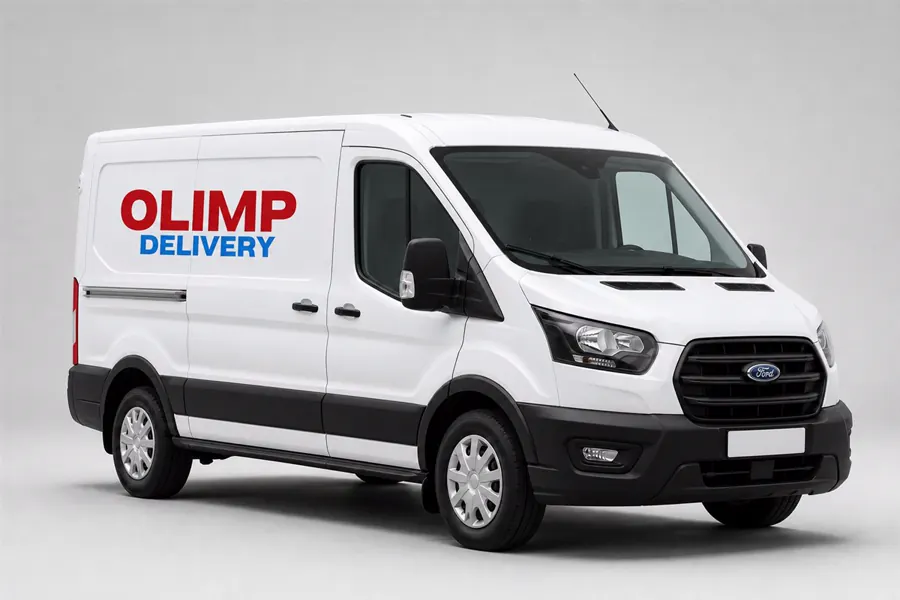 MWB Panel Van